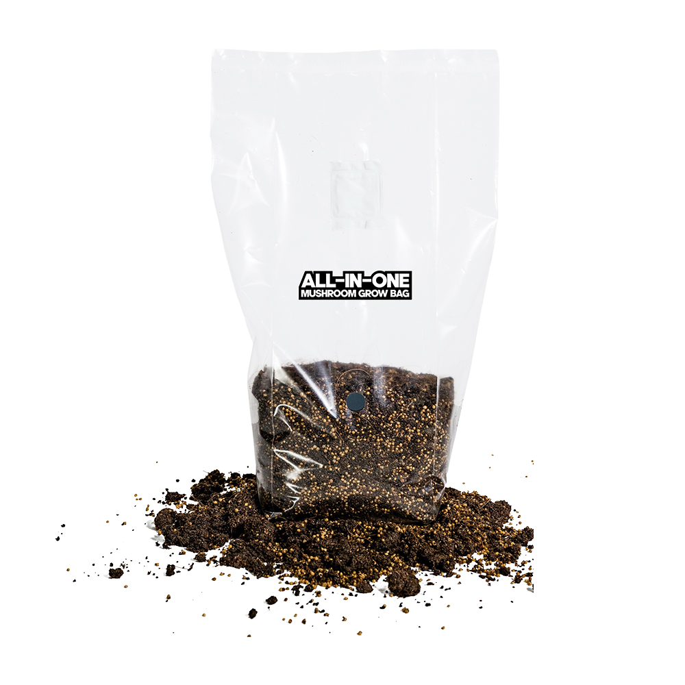 Mushroom Grow Kit in a Bag 5LBS